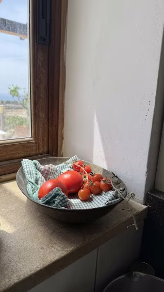 Green Goddess (Call for info!)