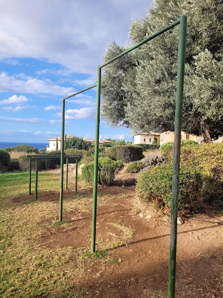 Aphrodite calthesnics park