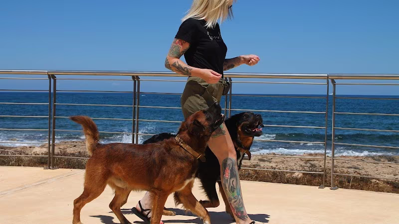 Bruno & Jokers Dogcenter