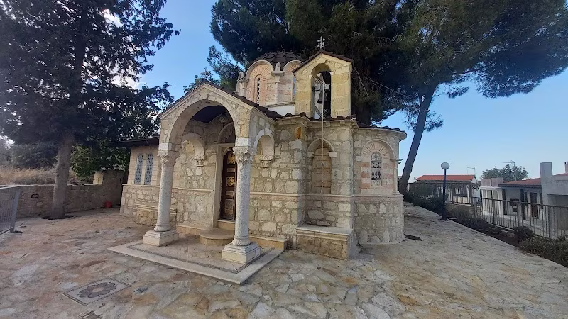 Καμήλες 29