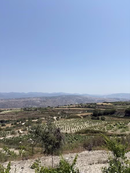 View point