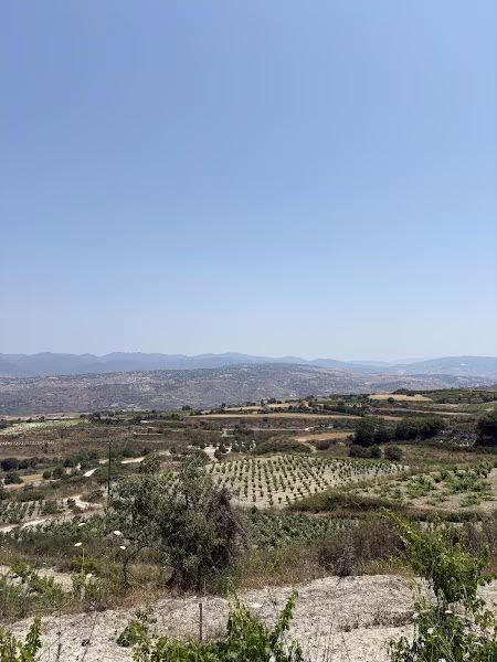 View point